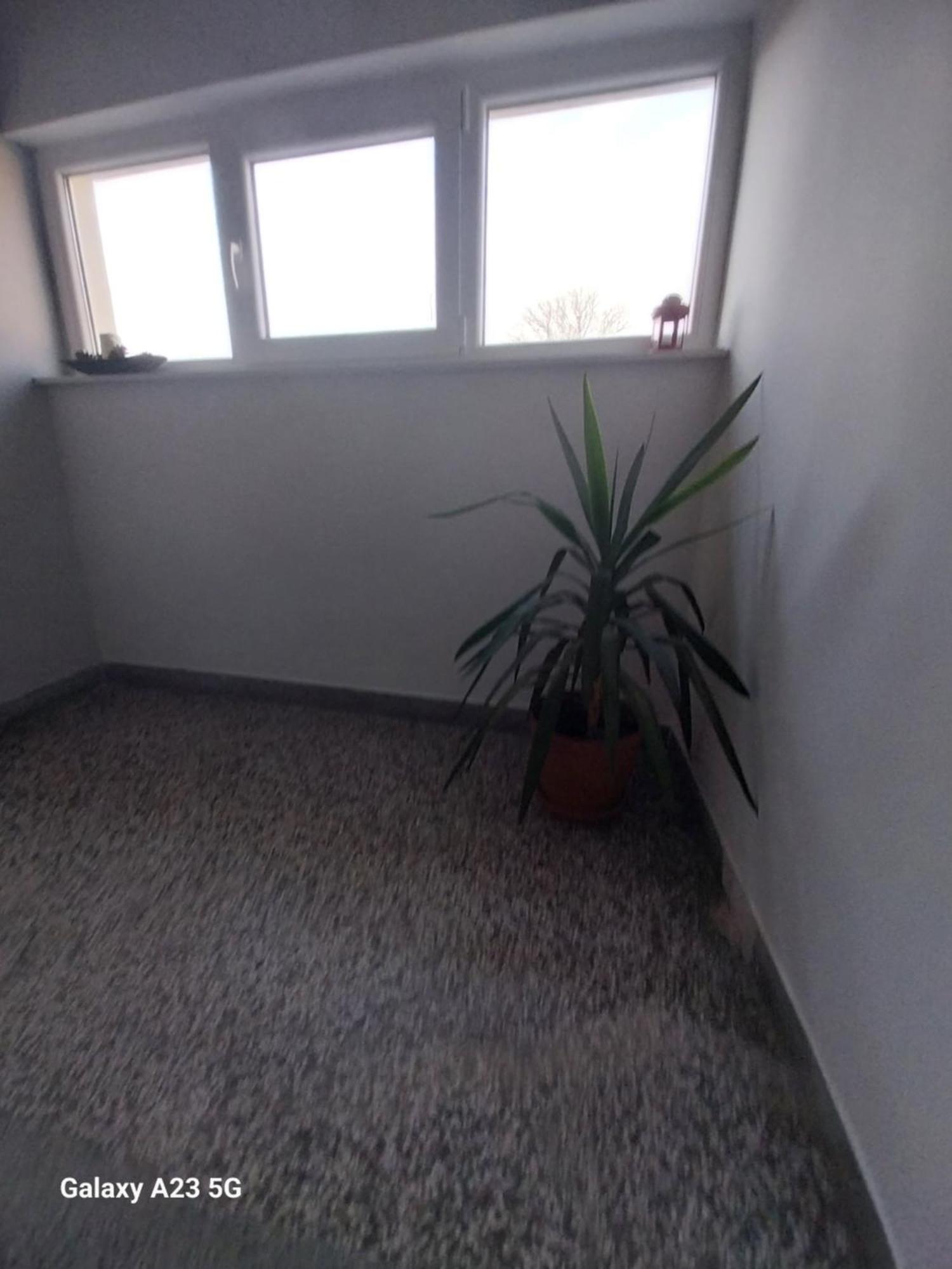 Apartman Bloom Осиек Экстерьер фото